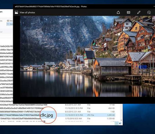 Windows Spotlight Tool — импорт изображений Spotlight одним кликом